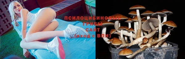 прущие крисы Медвежьегорск