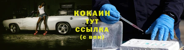 прущие крисы Медвежьегорск